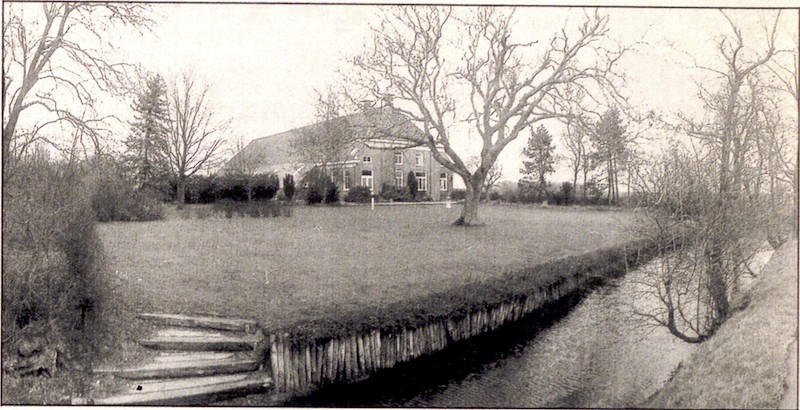 boom van het jaar 2025 louwes westpolder Herman derk stephan louwes Sicco mansholt zuurdijk zuurdiek torringa zijlma bos weerden 